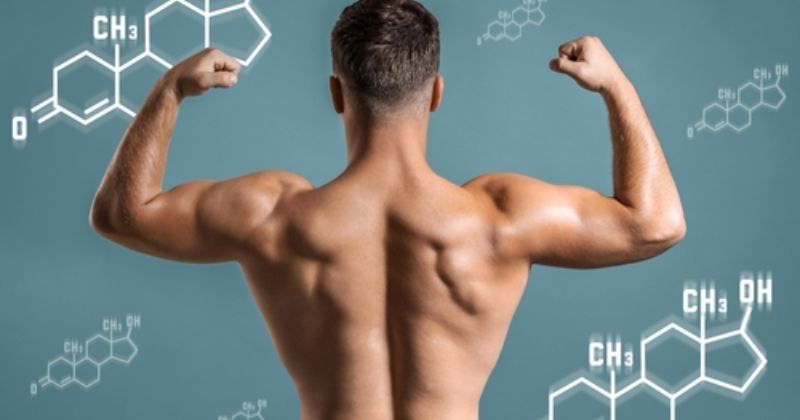 Ăn hàu có tác dụng gì cho nam giới