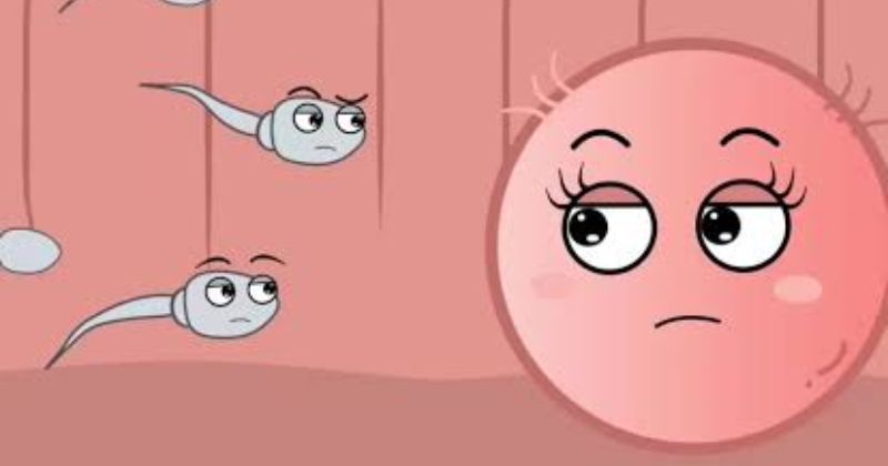 Hạn chế các yếu tố bất lợi cho tinh trùng
