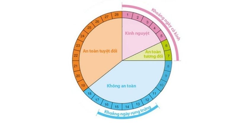 Thời điểm trong chu kỳ kinh nguyệt (cửa sổ màu mỡ)