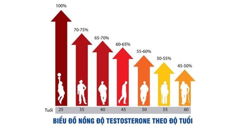 Các yếu tố ảnh hưởng tới tần suất quan hệ tình dục ở nam giới