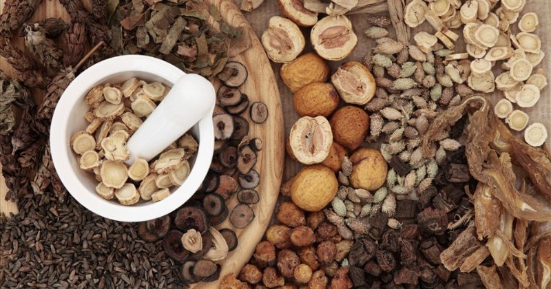 cách chữa rối loạn cương dương bằng đông y